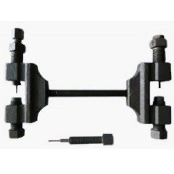 cao mat sen cam century 090406dc