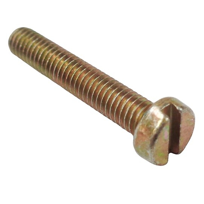 Idle speed screw