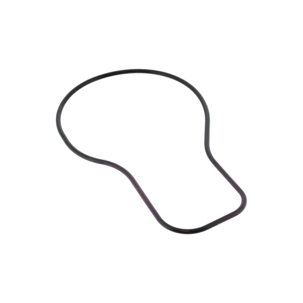 Bơm Nước Vòng Chữ O HONDA 19222 ZA0 004