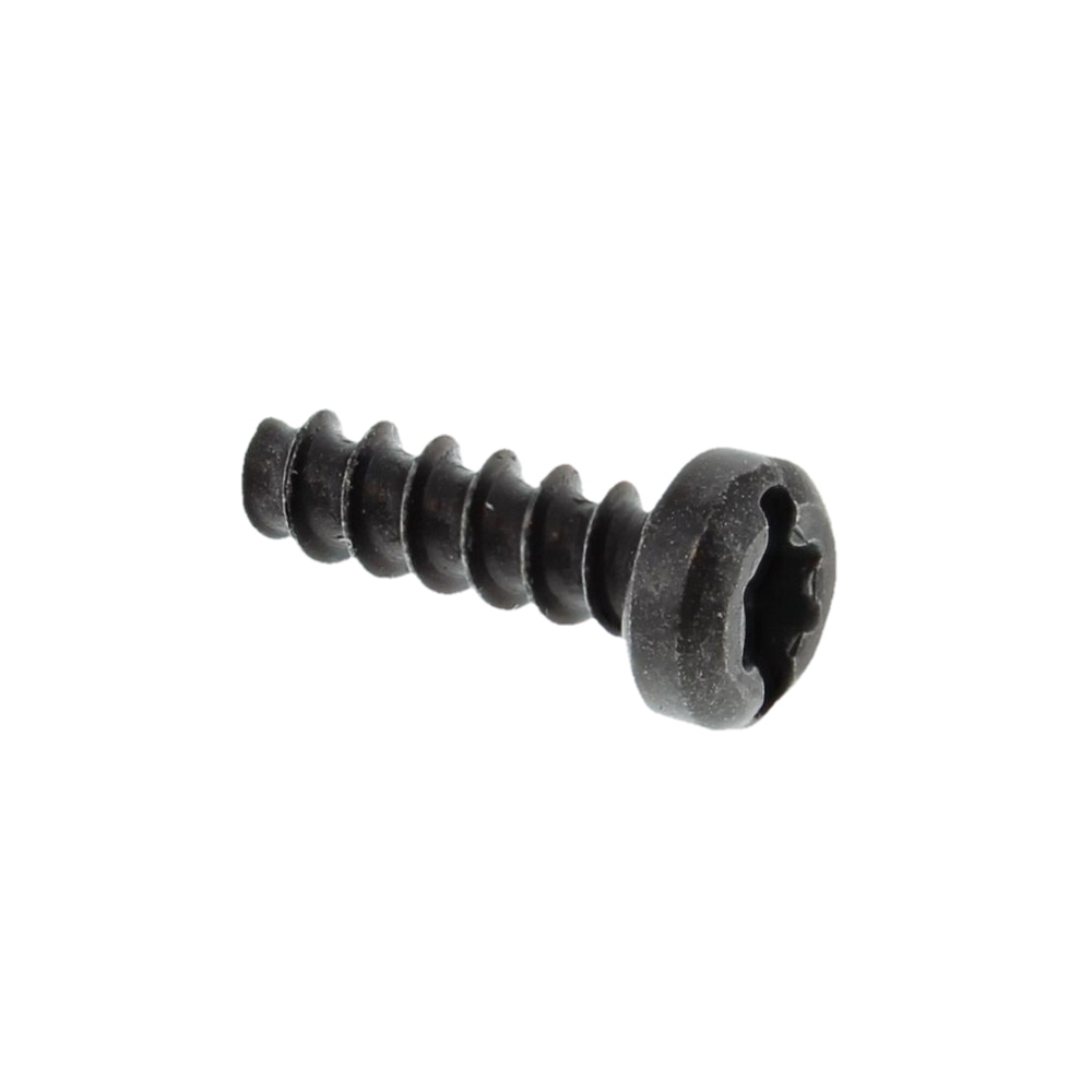 Torx Oval-Head Screw 3x10