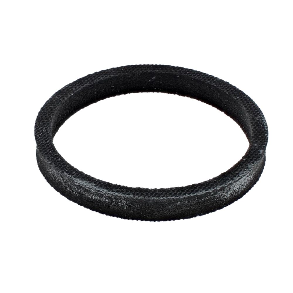 Sealing ring