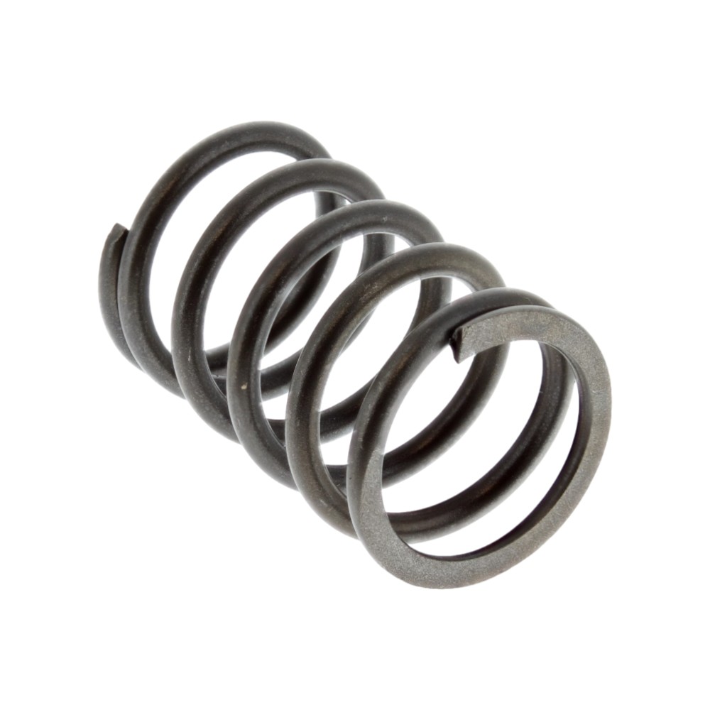 Van Động Cơ Lò Xo Trong HONDA 490787002