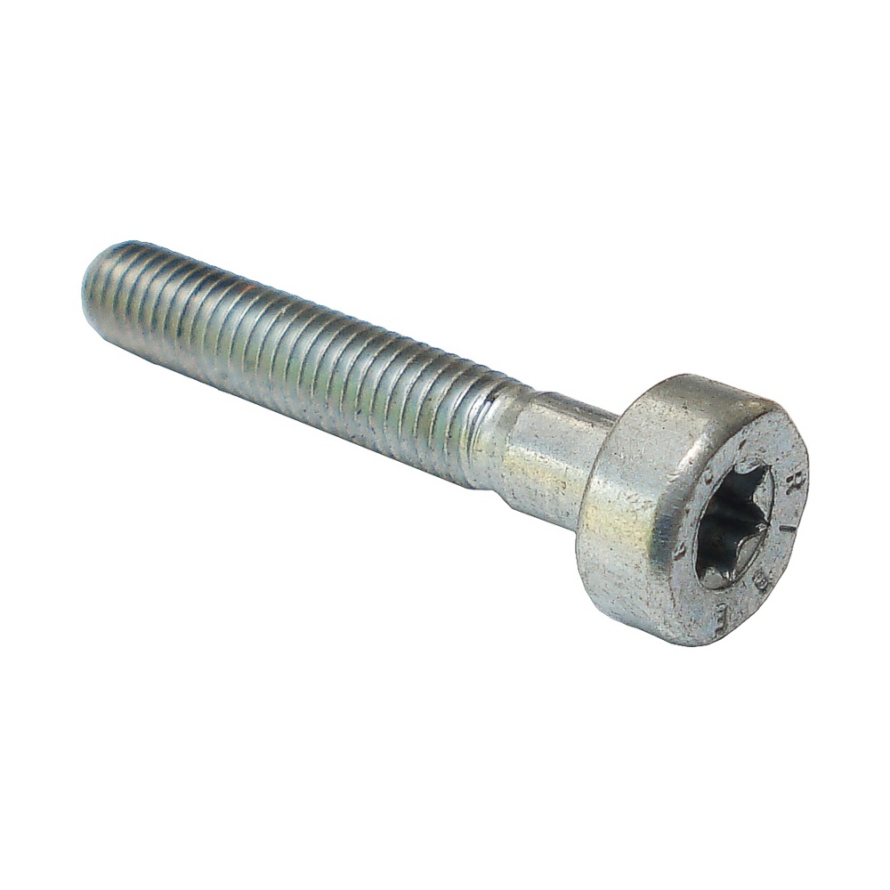 Spline Screw Is-M5x30