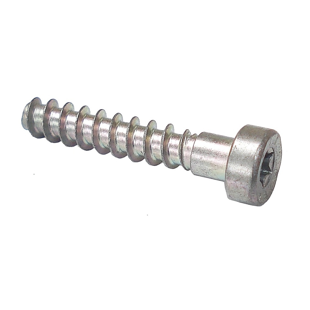 Pan Head Self-Tapping Screw Is-P6x32.5 ((6 Nm))