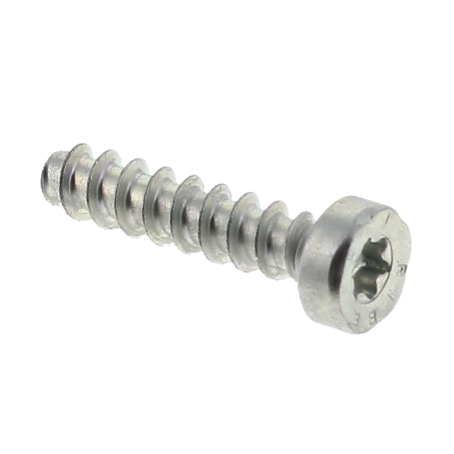 Self Tapping Screw