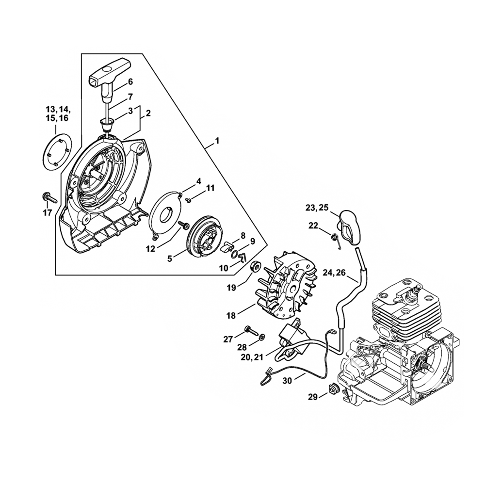 fs120 fs200 fs250 rewind starter ignition system