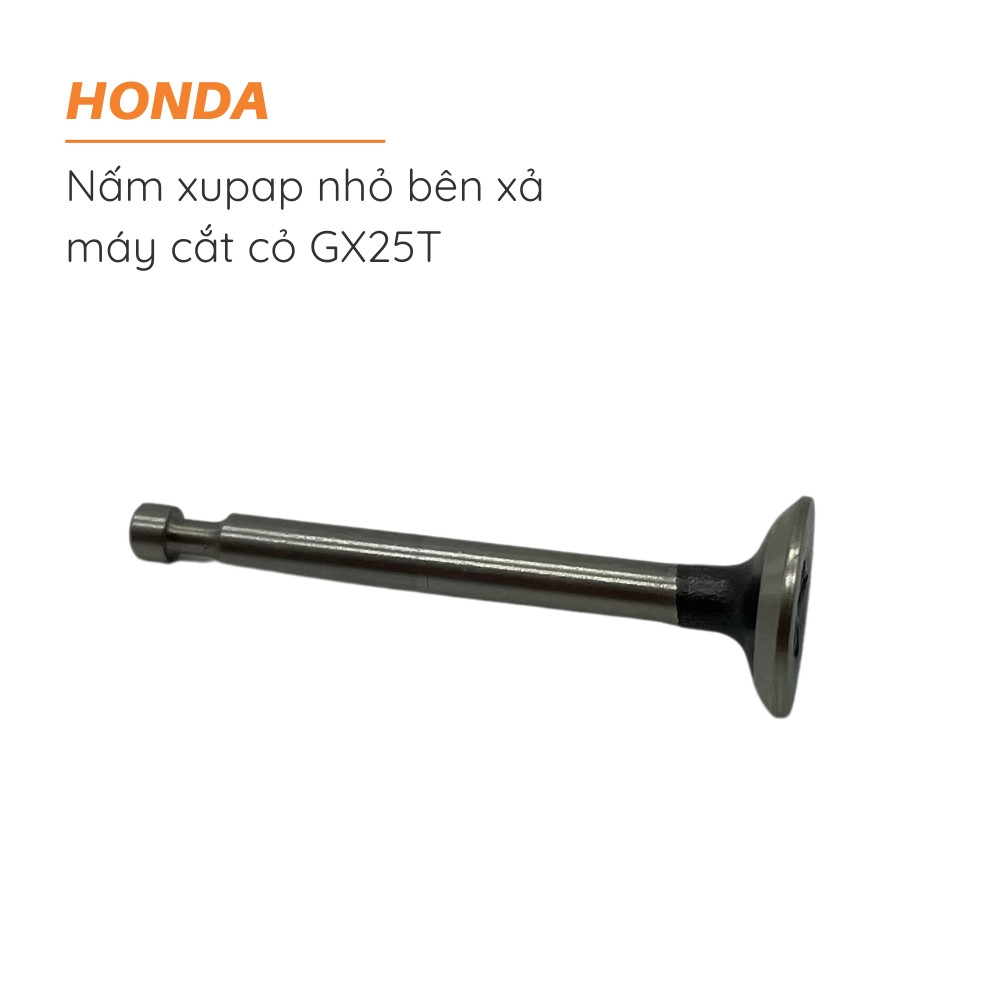 nam xupap nho ben xa may cat co